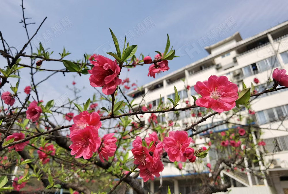 桂林鴻程花團(tuán)錦簇，滿園春色，邀您一起共賞春景，共商大計(jì)！